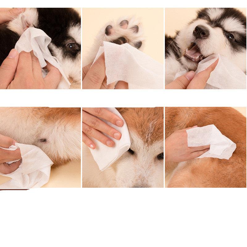 Pet Fresh Clean Wipes-2